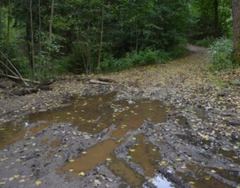 Land unter im Kirchbachtal - Nach dem regenreichen Sommer stehen Waldwege unter Wasser, hier an der Weggabelung hinter dem Ortsausgang Kirchbach in Richtung Oberschöna. Auch Baumstämme versperren die Wege.