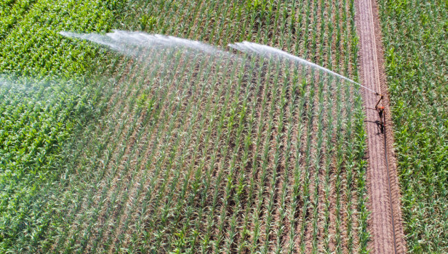 Landesamt: Grundwasserlage in Teilen Sachsens wieder angespannt - Julian Stratenschulte/dpa/Archiv/Symbolbild