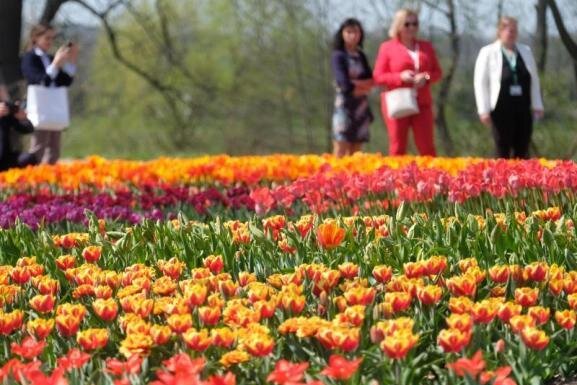 Landesgartenschau erwartet 333.333 Gast - Besucher der sächsischen Landesgartenschau stehen vor Blumenbeeten. 