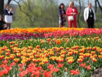 Landesgartenschau: Noch 128.000 Besucher bis zur schwarzen Null - Besucher der sächsischen Landesgartenschau stehen vor Blumenbeeten. 