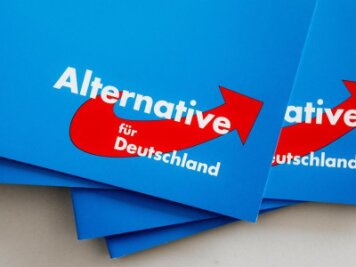 Landeswahlleiter empfiehlt AfD Neuwahl der Bundestagskandidaten - 