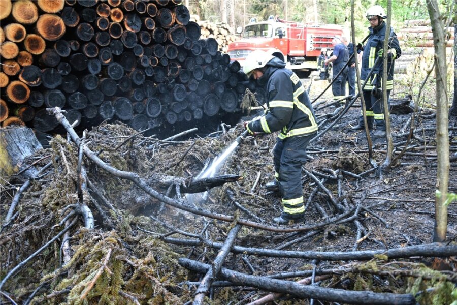 Landgericht rollt Brandstiftungen im Fürstenbusch bei Freiberg neu auf - Im Mai 2017 musste die Feuerwehr wegen einer Brandstiftung in den Fürstenwald bei Freiberg ausrücken.