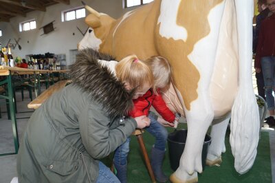 Landmarktscheune ist mehr als eine Verkaufshalle - Zahlreiche Besucher der Eröffnungsveranstaltung der Reika-Landmarktscheune nutzten die Gelegenheit, selbst mal eine Kuh zu melken - "Kuh" Leni nahm das gelassen hin. 