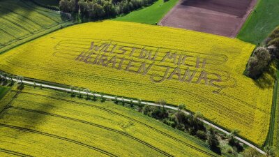 Landwirt überrascht mit Heiratsantrag im Feld - "Willst Du mich heiraten, Jana?", steht in einem Rettichfeld bei Rauschenberg im Landkreis Marburg-Biedenkopf.