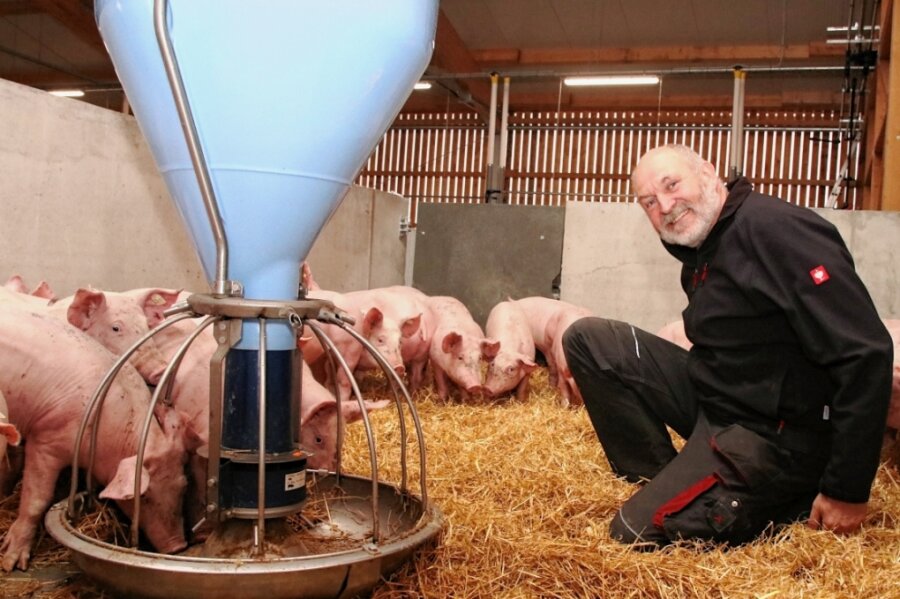 Landwirte wollen Vogtlandmarke schaffen - Udo Weymann und sein Team von der Agrargenossenschaft Theuma-Neuensalz setzen auf viel Tierwohl, haben unter anderem in einen neuen Schweinestall investiert.