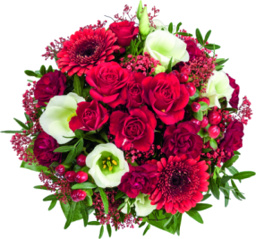 Lassen Sie Blumen sprechen - mit Valentins - Rote Rosen