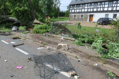 Laster fällt Baum und zerstört Telefonmast - Ein Laster ist in Gablenz von der August-Bebel-Straße abgekommen.