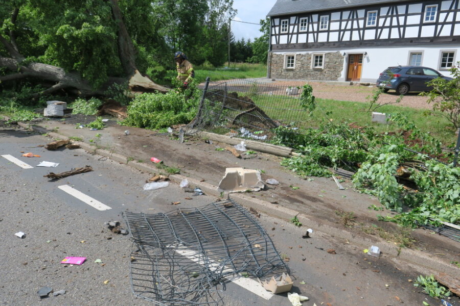 Laster fällt Baum und zerstört Telefonmast - Ein Laster ist in Gablenz von der August-Bebel-Straße abgekommen.