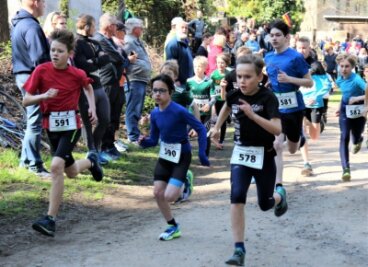 Laufstark durch den Stadtwald - Start der Distanz über 2 Kilometer (männlich). Insgesamt nahmen 173 Aktive am Lauftag teil. 