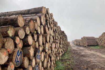 Leader-Region Westerzgebirge lädt zu Fachforum zum Thema Holz nach Eibenstock ein - Ums Holz dreht sich bei Leader diesmal viel. Der Rohstoff ist ein Fokusthema des Förderprogramms für den ländlichen Raum.