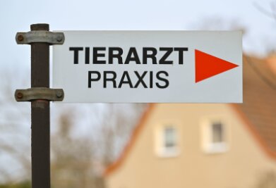 Leipzig hat die meisten Tierärzte in Sachsen - Ein Wegweiser zu einer Tierarztpraxis.