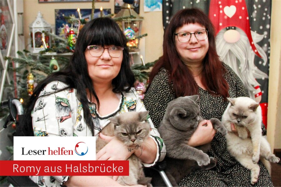 „Leser helfen“ in Halsbrücke: Wie zwei kranke Katzen eine tiefe Freundschaft stifteten - Freundinnen dank Samtpfoten: Romy Carolus (l.) und Tina Ruppert mit ihren Britisch-Kurzhaar-Katzen Keks, Amy und Sammy (von links).