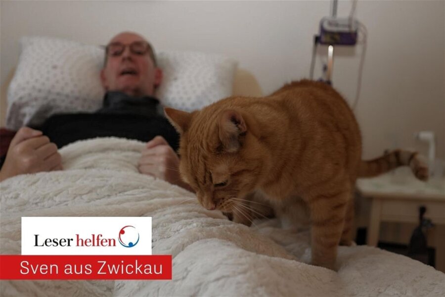 „Leser helfen“: Kater Eddy als tierischer Therapeut für „Mülli“ aus Zwickau - Sonst springt Eddy auf Sven Müllers Bett, ohne dass es Leckerli gibt. Für ein „Freie Presse“-Foto brauchte es aber ein wenig Überzeugungshilfe.