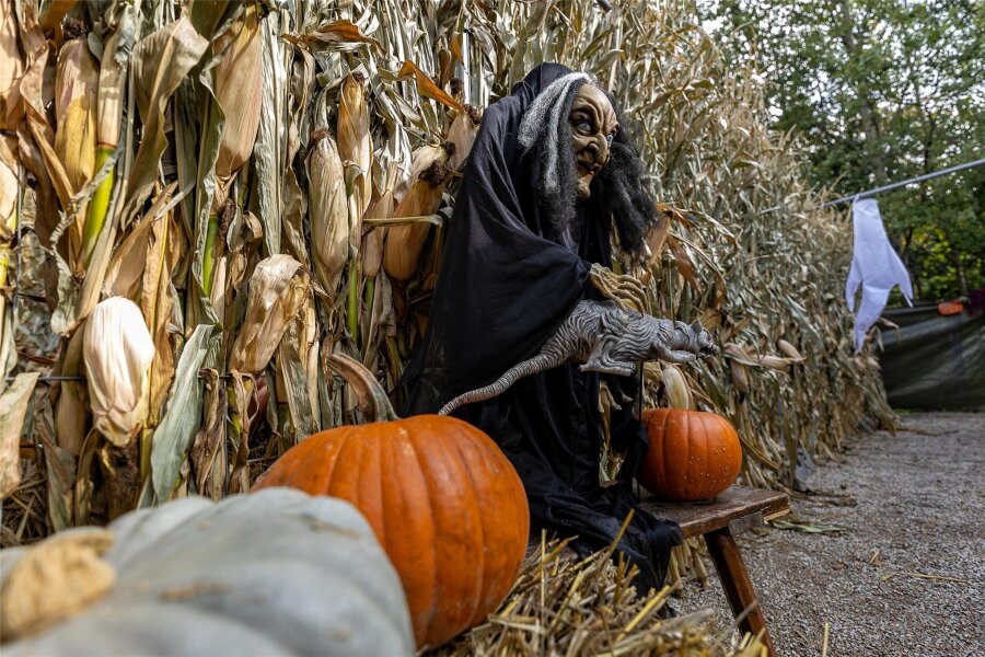 Letzte Halloween-Party des Jahres im Freizeitpark Plohn - Im Mais-Labyrinth in der Zone 22 tummelt sich diese Hexe.