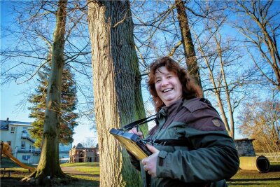 Leubsdorf: Die Frau, die nur Augen für Bäume hat - Baumkontrolleurin Christiane Müller bei der Begutachtung der Bäume in der Leubsdorfer Kindertagesstätte "Rasselbande". Das Baumkataster der Gemeinde umfasst insgesamt rund 930 Bäume.