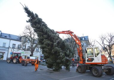 Lichtenstein hat einen neuen Weihnachtsbaum - 