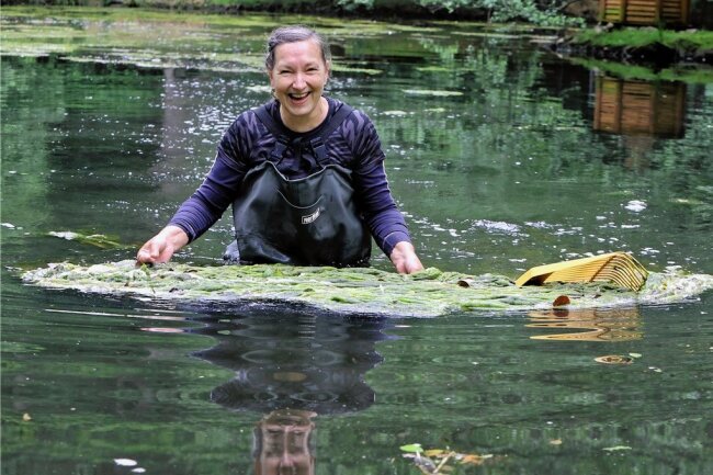 Lichtensteiner Stadtparkteich: Die "Algenqueen" lässt nicht locker - und inspiriert viele Teichretter - "Algenqueen" Sibylle Rohner ist es nicht immer zum Lachen zumute: Kaum hat sie den Teich halbwegs gesäubert, ist wieder alles grün. Trotzdem macht sie immer weiter - jetzt mit viel Unterstützung.