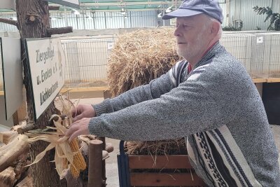 Lichtentanne: Erwartet werden Geflügelzüchter aus ganz Deutschland - Vereins-Chef Frieder Gastmeyer hat mit vielen Helfern die Geflügelausstellung im Lichtentanner Gewerbegebiet vorbereitet.