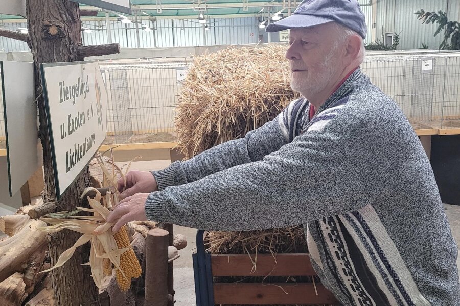 Lichtentanne: Erwartet werden Geflügelzüchter aus ganz Deutschland - Vereins-Chef Frieder Gastmeyer hat mit vielen Helfern die Geflügelausstellung im Lichtentanner Gewerbegebiet vorbereitet.