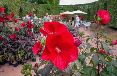 Lichtenwalde: Knapp 10.000 Gäste strömen zu Messe Haus- und Gartenträume - 