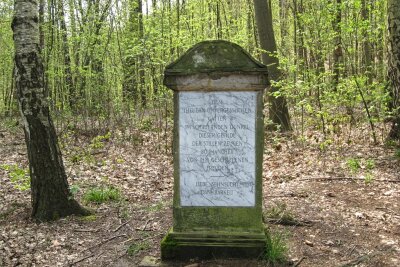 Lichtenwalde: Was den Landschaftspark besonders macht - Der sogenannte Friedrichstein ist ein Denkmal für Friedrich August II. Graf Vitzthum von Eckstädt.