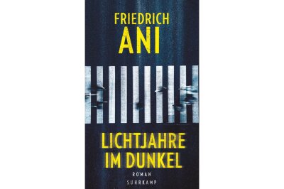 "Lichtjahre im Dunkel" von Friedrich Ani: Der einsame Wolf unter den Ermittlern - 
