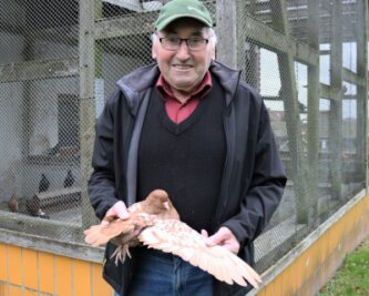 Liebe zu den Tauben hält bereits seit 66 Jahren - Gerd Glöckner beschäftigt sich seit 1955 mit der Zucht von Tauben, zudem ist er stellvertretender Chef des Rassegeflügelzüchtervereins Eppendorf. 