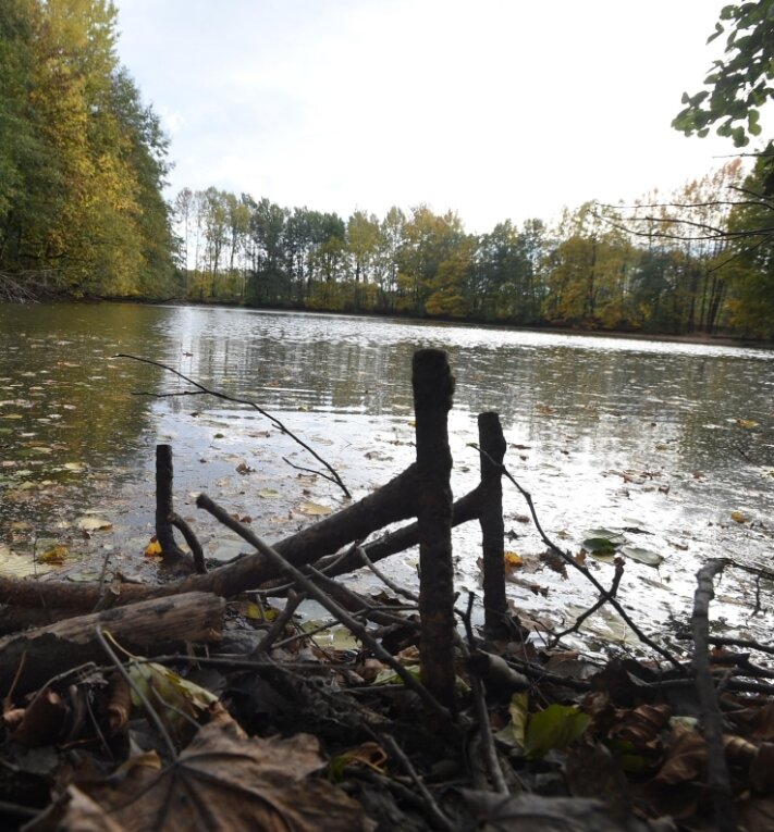 LimbachOberfrohna will sich ein paar Teiche kaufen