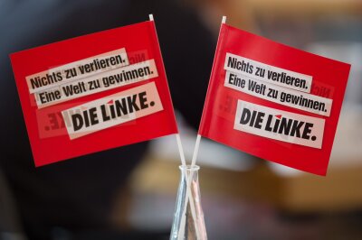 Linke will 2019 "Dreikampf" mit AfD und CDU in Sachsen aufnehmen - 