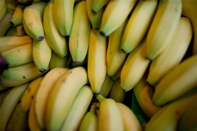 Literweise flüssiges Kokain bei Bio-Großhändler gefunden: Wie sind die Drogen ins Vogtland gekommen? - Offenbar ein beliebtes Versteck der Händler von Kokain in fester und flüssiger Form: Bananen in Kisten und Paletten.
