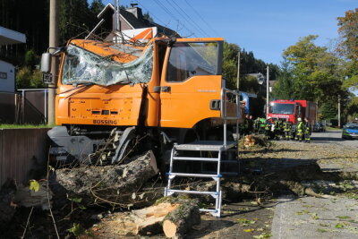 Lkw kracht gegen Baum: Fahrer schwer verletzt - 