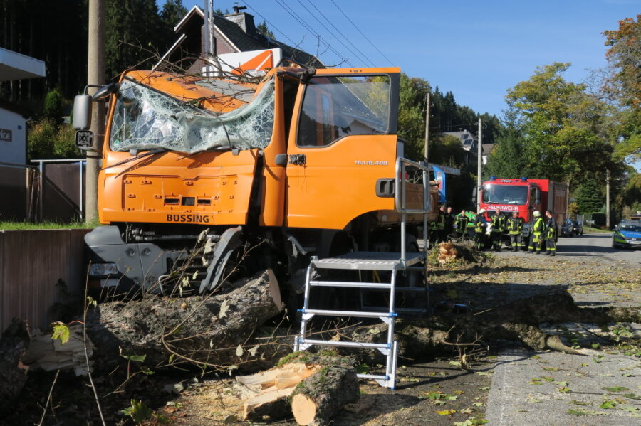 Lkw kracht gegen Baum: Fahrer schwer verletzt - 