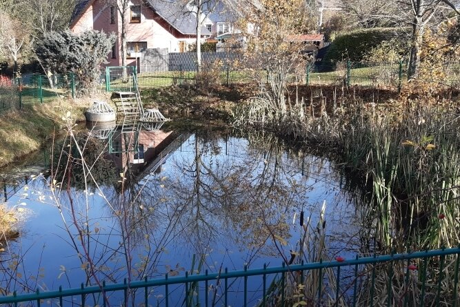 Löschwasserbehälter soll Teich ersetzen - Der kleine Teich am Rand des Vogelherds in Crandorf gleicht eher einem Biotop als einer problemlosen Entnahmestelle für Löschwasser. 
