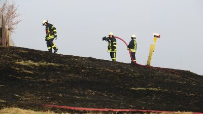 Lößnitz: Ödland in Flammen - 