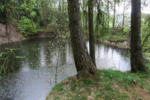 Lößnitz: Tote Frau aus Teich geborgen - Eine leblose Frau trieb am Ufer des Schneiderloch genannten Teiches in der Nähe von Affalter.