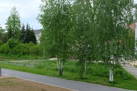 Lugau und Oelsnitz besiegeln 1,5-Millionen-Euro-Projekt - Im Lugauer Stadtpark ist noch offen, ob der Radweg über die Gleise oder den bereits gebauten parallelen Weg verläuft. Rechts: der ehemalige Bahnhof.
