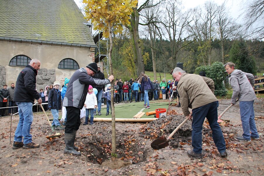 Luther-Eiche zum Reformations-Jubiläum gepflanzt - In Schönheide wurde am Dienstag eine Luther-Eiche gepflanzt.