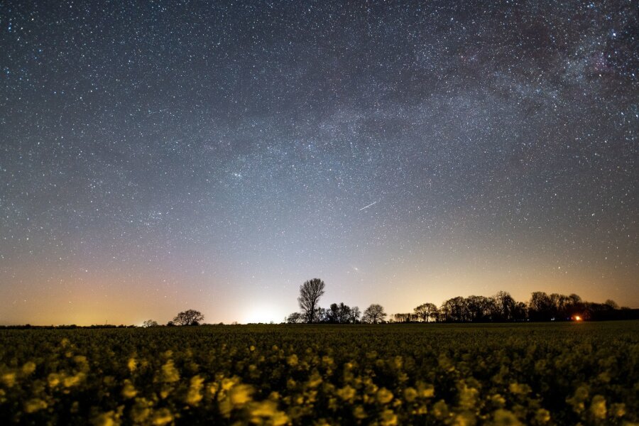 Lyriden am Nachthimmel - Chancen auf Sternschnuppen - Der Sternenhimmel leuchtet über einem Rapsfeld in Schleswig-Holstein.