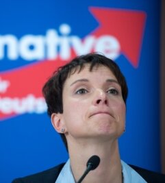 Machtkampf um AfD-Spitzenkandidatur - Darf AfD-Chefin Frauke Petry vom Dresdner Landtag in den Bundestag wechseln?