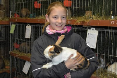 Mädchen bringt im Vogtland erfahrene Kleintierzüchter zum Staunen - Die elfjährige Annika Knoll stellte in Bobenneukirchen erst zum zweiten Mal aus und war mit Holländer japanerfarbig-weiß gleich mehrfach erfolgreich.