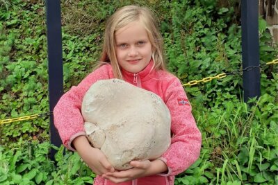 Mädchen entdeckt Riesenpilz im Erzgebirge - Stolz präsentiert Johanna Kurz ihren großen Fund.