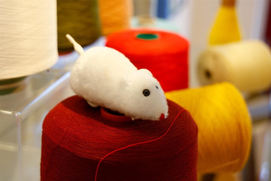 Märchenführung zum Kindertag im Textil- und Rennsportmuseum Hohenstein-Ernstthal - Am Kindertag gibt es eine Märchenführung in der Schau „Da hängt die Maus am seidenen Faden“