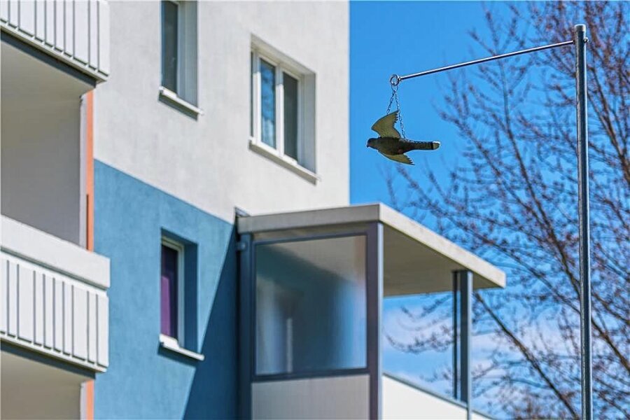 Marienberg: Stadtwerke hängen Vogel-Attrappen auf - Der künstliche Vogel schaukelt vor einem Balkon in der Marienberger Paul-Roitzsch-Straße. 