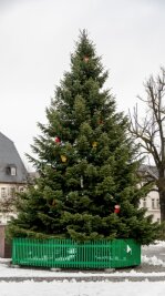 Marienberger Tanne ist schönster Weihnachtsbaum im Erzgebirge - Der Marienberger Weihnachtsbaum hat gewonnen. 