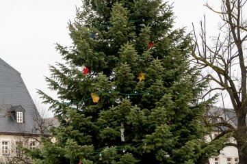 Marienberger Tanne ist schönster Weihnachtsbaum im Erzgebirge - Der Marienberger Weihnachtsbaum hat gewonnen. 
