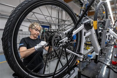 Marketingpreis für Diamant in Hartmannsdorf - Wie sich die Zeiten ändern: Jetzt montiert Fahrradhersteller Diamant Elektroräder in Hartmannsdorf.