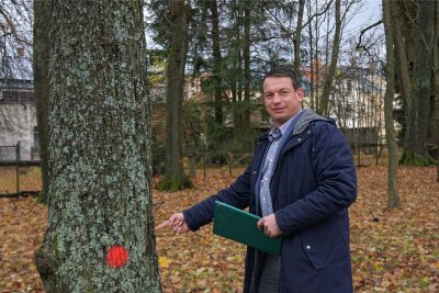 Markierte Bäume in Schöneck werfen Fragen auf: Was der Bürgermeister jetzt klarstellt - Die mit einem roten Punkt markierten Bäume bleiben stehen: Der Schönecker Bürgermeister Andy Anders im Jugendpark.