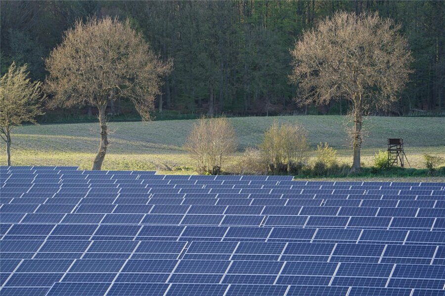 Markneukirchen will Fotovoltaik auf Freianlagen beschränken - Markneukirchen registriert Nachfragen zu Freiflächen für Fotovoltaik. Eine Grundsatzentscheidung soll her.