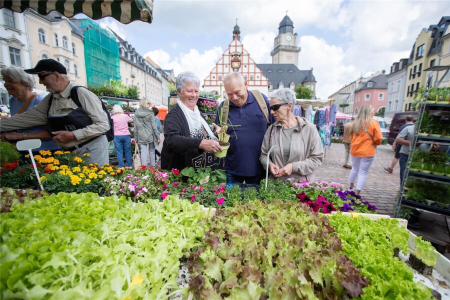 Markttreiben in Plauen: Was Händler dort schätzen - Ein breites „grünes“ Sortiment gibt es einmal pro Woche auf dem Altmarkt - von Gemüsepflanzen bis zu Sommerblumen haben die Händler alles im Gepäck.
