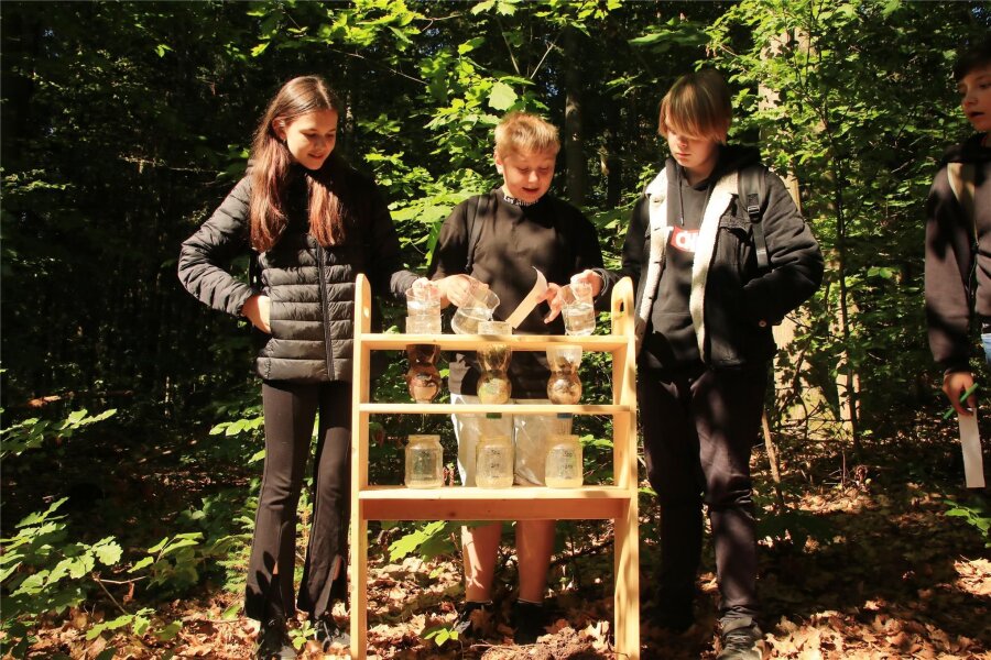 Matsch-Moos-Wettlauf begeistert Kinder im Walderlebnisgarten Eich - Kinder der 6a der Friedensschule in Plauen beim Experiment.
